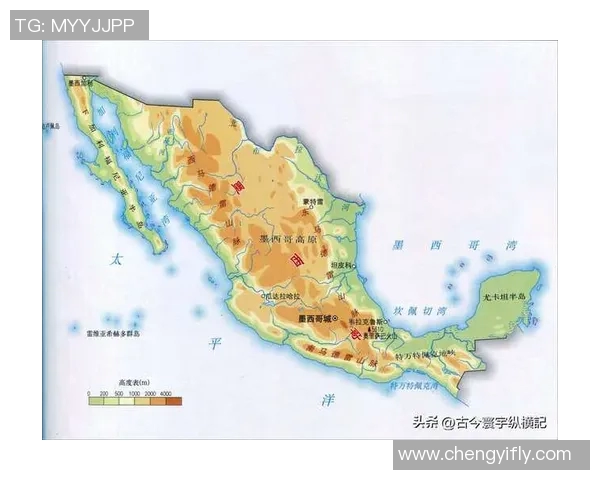 墨西哥与海地足球赛精彩对决比分揭晓引发热议